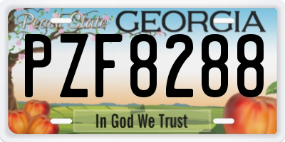GA license plate PZF8288