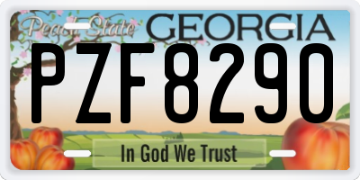 GA license plate PZF8290