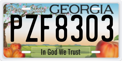 GA license plate PZF8303