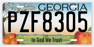 GA license plate PZF8305