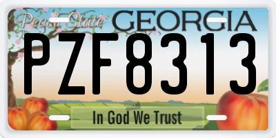 GA license plate PZF8313
