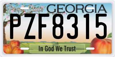 GA license plate PZF8315