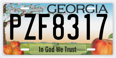 GA license plate PZF8317