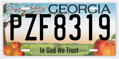GA license plate PZF8319