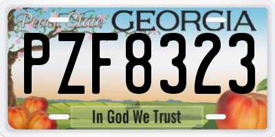 GA license plate PZF8323