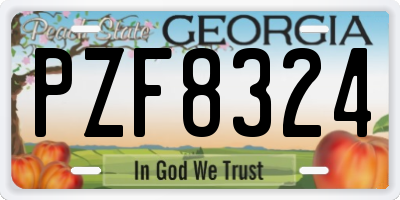 GA license plate PZF8324