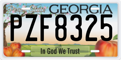 GA license plate PZF8325