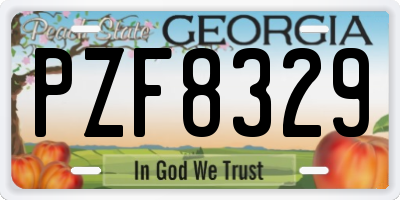 GA license plate PZF8329
