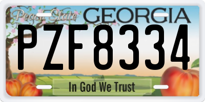GA license plate PZF8334