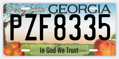 GA license plate PZF8335