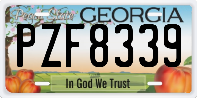 GA license plate PZF8339