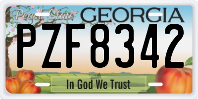 GA license plate PZF8342