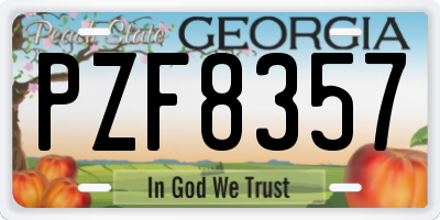 GA license plate PZF8357