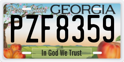 GA license plate PZF8359