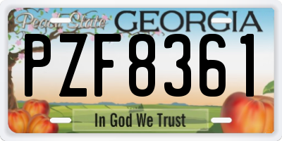 GA license plate PZF8361
