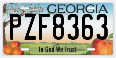 GA license plate PZF8363