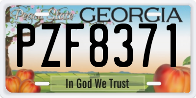 GA license plate PZF8371