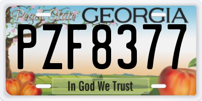 GA license plate PZF8377