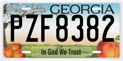 GA license plate PZF8382