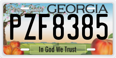 GA license plate PZF8385