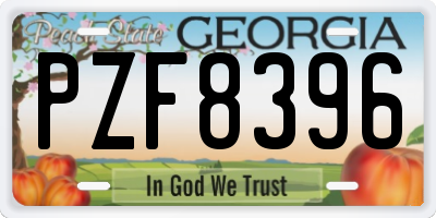 GA license plate PZF8396