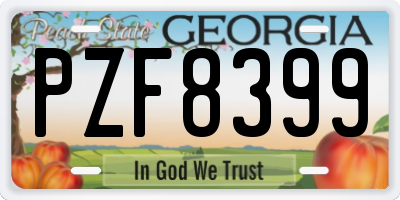 GA license plate PZF8399