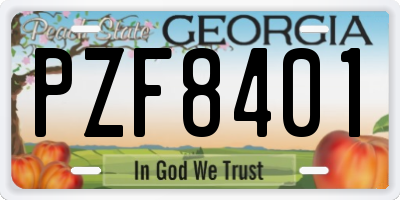 GA license plate PZF8401