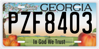 GA license plate PZF8403