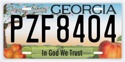 GA license plate PZF8404