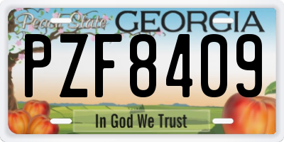 GA license plate PZF8409