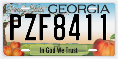 GA license plate PZF8411