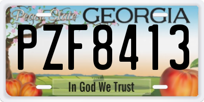 GA license plate PZF8413