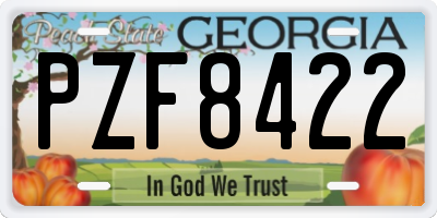 GA license plate PZF8422
