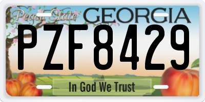 GA license plate PZF8429