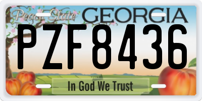 GA license plate PZF8436