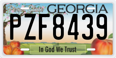GA license plate PZF8439