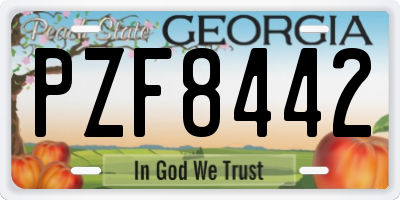 GA license plate PZF8442