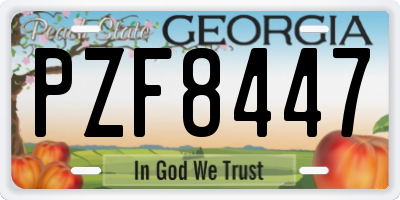 GA license plate PZF8447