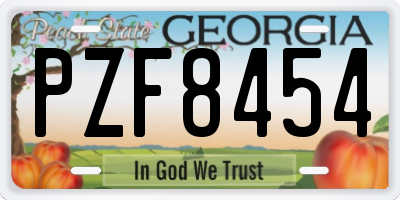 GA license plate PZF8454