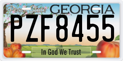 GA license plate PZF8455
