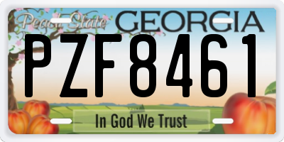 GA license plate PZF8461