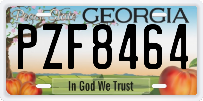 GA license plate PZF8464