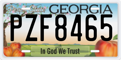 GA license plate PZF8465