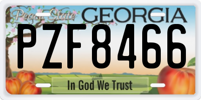 GA license plate PZF8466