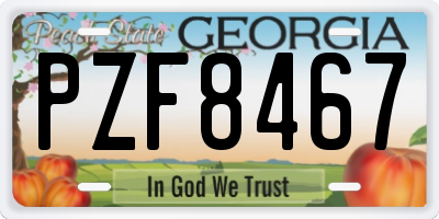 GA license plate PZF8467