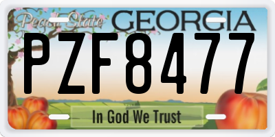 GA license plate PZF8477