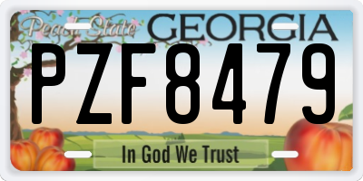 GA license plate PZF8479