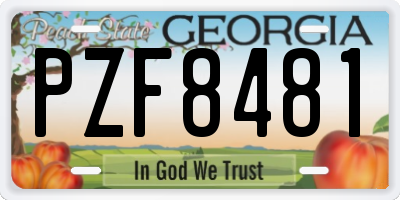 GA license plate PZF8481