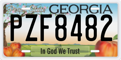 GA license plate PZF8482