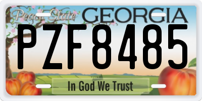 GA license plate PZF8485